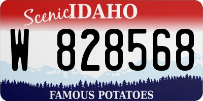 ID license plate W828568