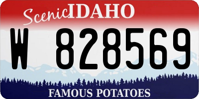 ID license plate W828569