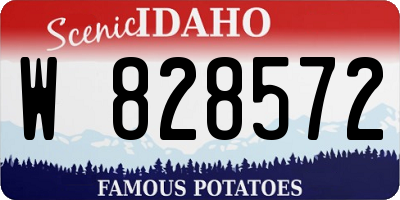 ID license plate W828572