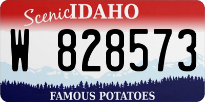 ID license plate W828573
