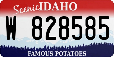 ID license plate W828585