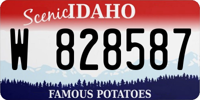 ID license plate W828587
