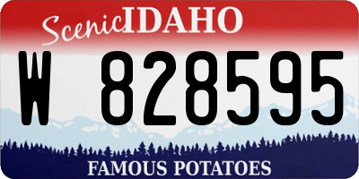 ID license plate W828595
