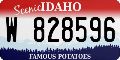ID license plate W828596