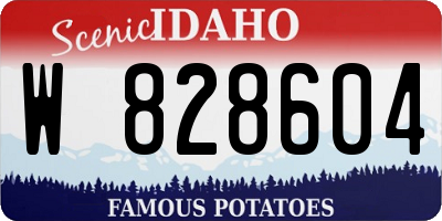 ID license plate W828604