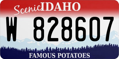 ID license plate W828607
