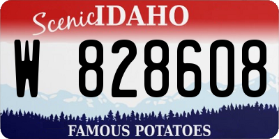 ID license plate W828608