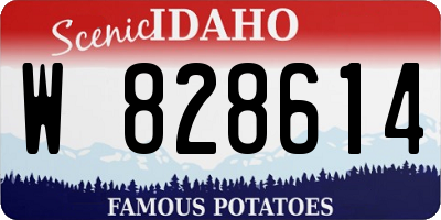 ID license plate W828614