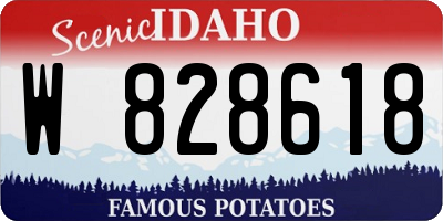ID license plate W828618