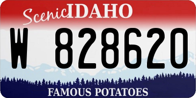 ID license plate W828620