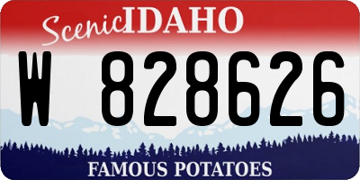 ID license plate W828626