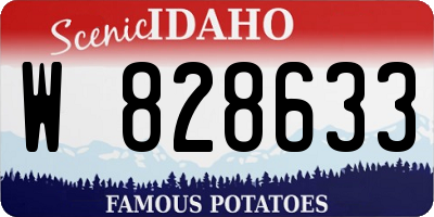 ID license plate W828633
