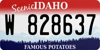 ID license plate W828637