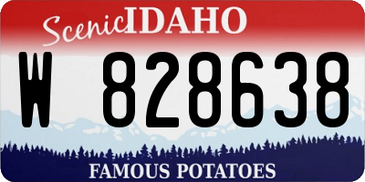 ID license plate W828638