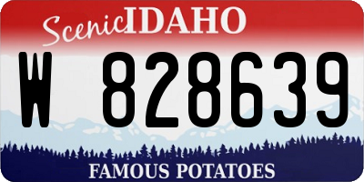 ID license plate W828639