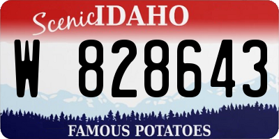 ID license plate W828643