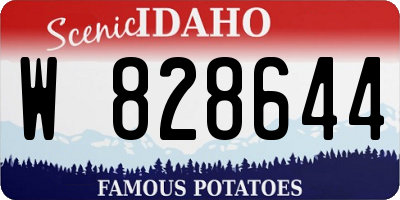 ID license plate W828644