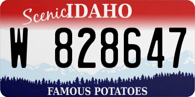ID license plate W828647