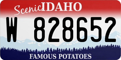 ID license plate W828652