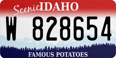 ID license plate W828654