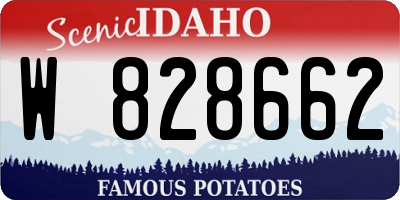 ID license plate W828662