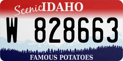 ID license plate W828663