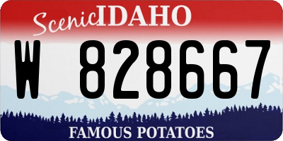 ID license plate W828667