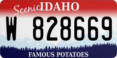 ID license plate W828669