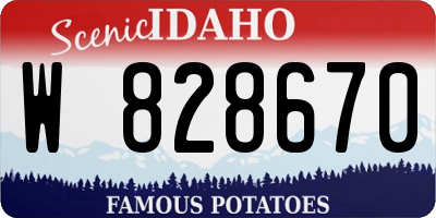 ID license plate W828670