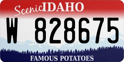ID license plate W828675