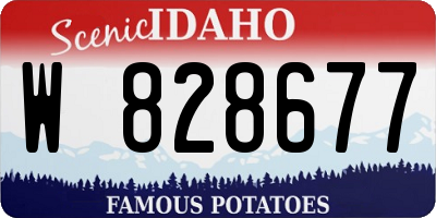 ID license plate W828677