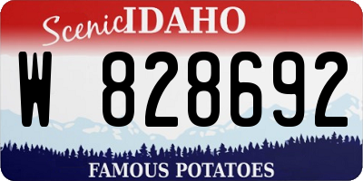 ID license plate W828692