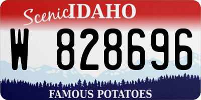 ID license plate W828696
