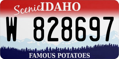 ID license plate W828697