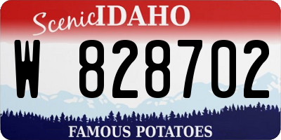 ID license plate W828702