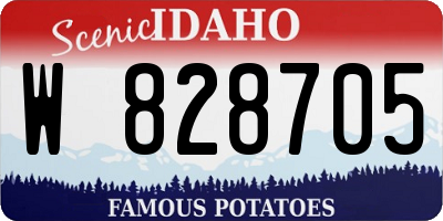 ID license plate W828705