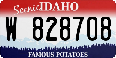 ID license plate W828708