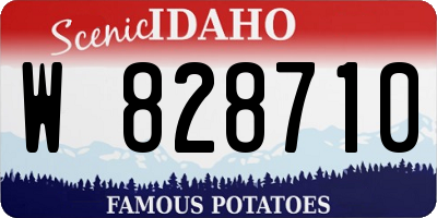 ID license plate W828710