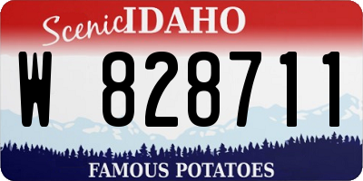 ID license plate W828711