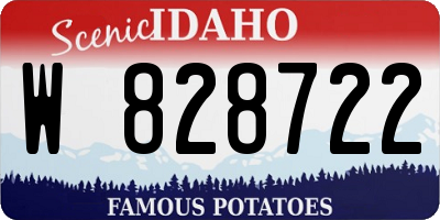 ID license plate W828722
