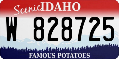 ID license plate W828725