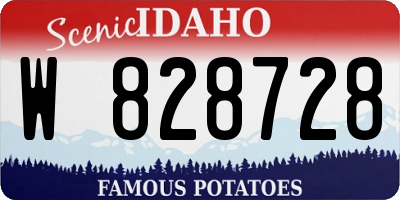 ID license plate W828728