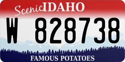 ID license plate W828738