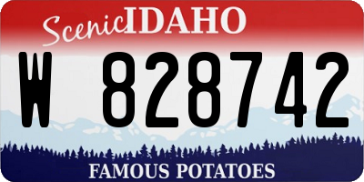 ID license plate W828742