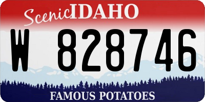 ID license plate W828746