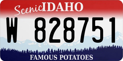 ID license plate W828751
