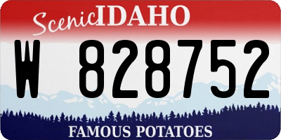 ID license plate W828752