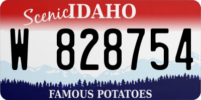 ID license plate W828754