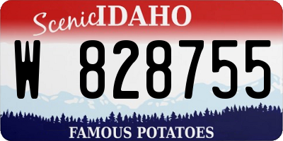 ID license plate W828755