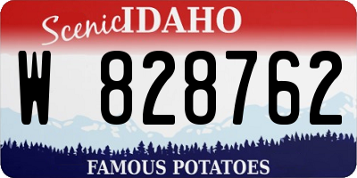 ID license plate W828762